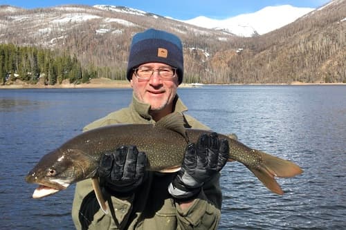 Lake Trout (Salvelinus namaycush)